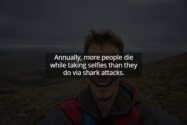 sky - Annually, more people die while taking selfies than they do via shark attacks.