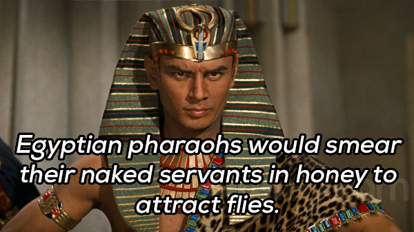 so let it be written so let - Egyptian pharaohs would smear their naked servants in honey to attract flies.
