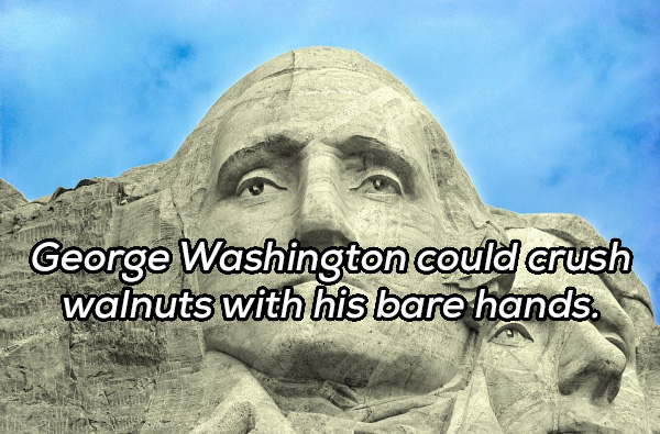 mount rushmore - George Washington could crush Swalnuts with his bare hands.
