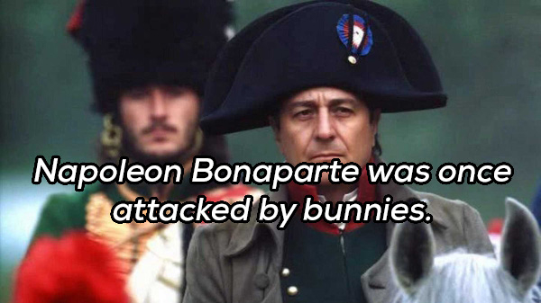 napoleon film - Napoleon Bonaparte was once attacked by bunnies.