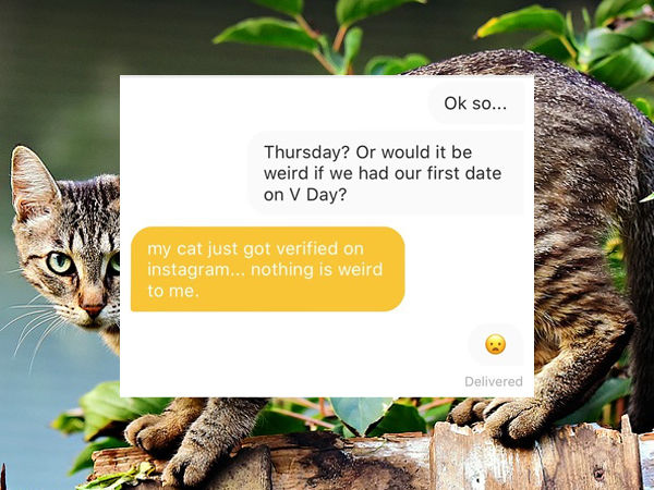 Cat - Ok so... Thursday? Or would it be weird if we had our first date on V Day? my cat just got verified on instagram... nothing is weird to me. Delivered