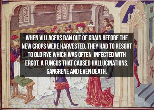 medieval feast - O When Villagers Ran Out Of Grain Before The New Crops Were Harvested, They Had To Resort To Old Rye Which Was Often Infected With Ergot, A Fungus That Caused Hallucinations, Gangrene And Even Death. Veli