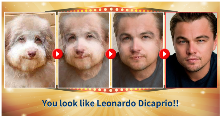photo caption - You look Leonardo Dicaprio!!