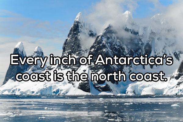 alien face in antarctica - Every inch of Antarctica's coast is the north coast.