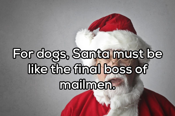 santa claus - For dogs, Santa must be the final boss of mailmen.