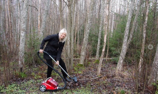 finland rake forest