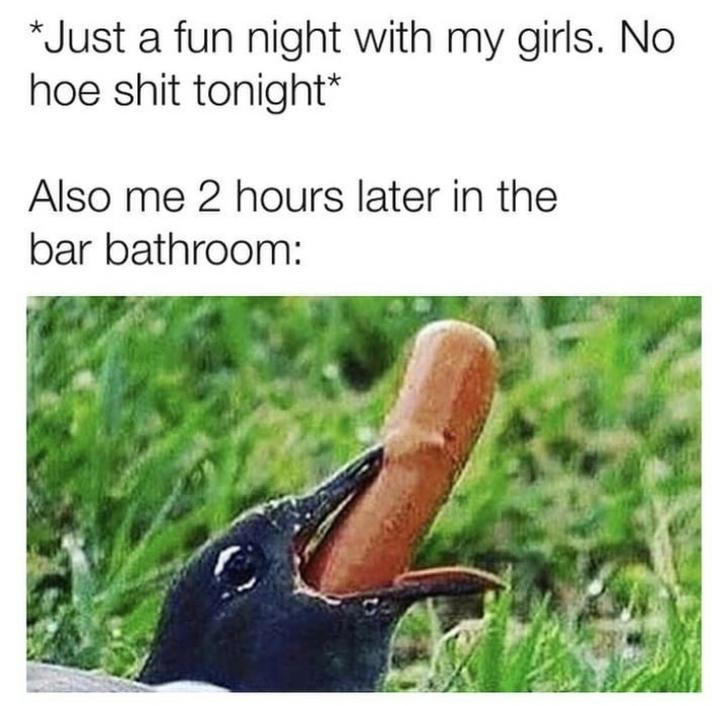 not here for hookups meme - Just a fun night with my girls. No hoe shit tonight Also me 2 hours later in the bar bathroom