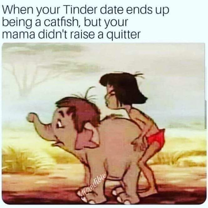 mama didn t raise a quitter - When your Tinder date ends up being a catfish, but your mama didn't raise a quitter Credible