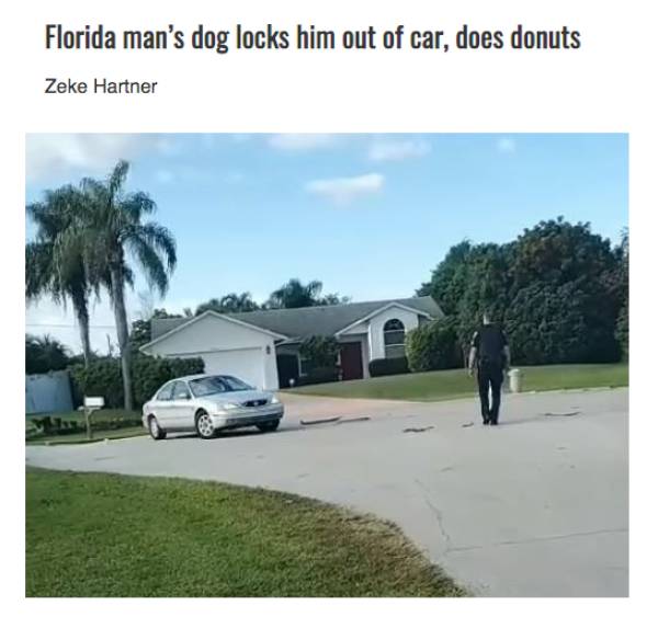 florida dog drives car - Florida man's dog locks him out of car, does donuts Zeke Hartner