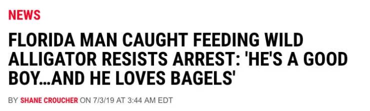 number - News Florida Man Caught Feeding Wild Alligator Resists Arrest "He'S A Good Boy...And He Loves Bagels' By Shane Croucher On 7319 At Edt