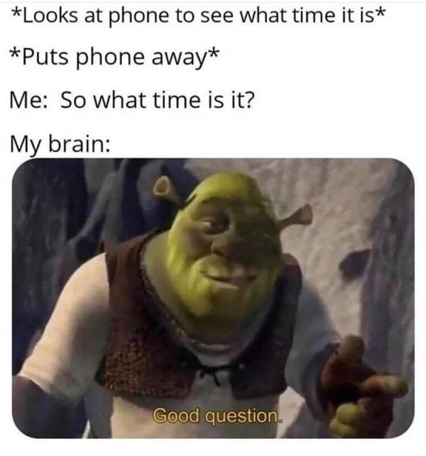 shrek meme good question - Looks at phone to see what time it is Puts phone away Me So what time is it? My brain Good question