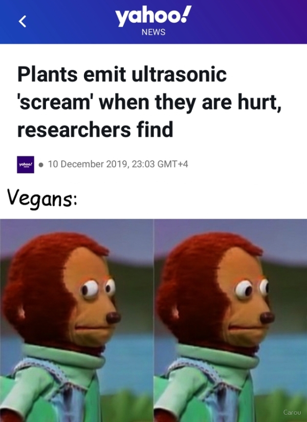 my little armalite - yahoo! News Plants emit ultrasonic 'scream' when they are hurt, researchers find prostor , Gmt4 Vegans Carou