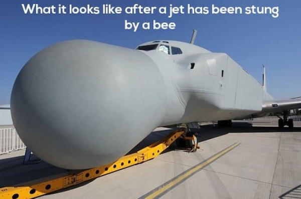 ugly plane - What it looks after a jet has been stung by a bee