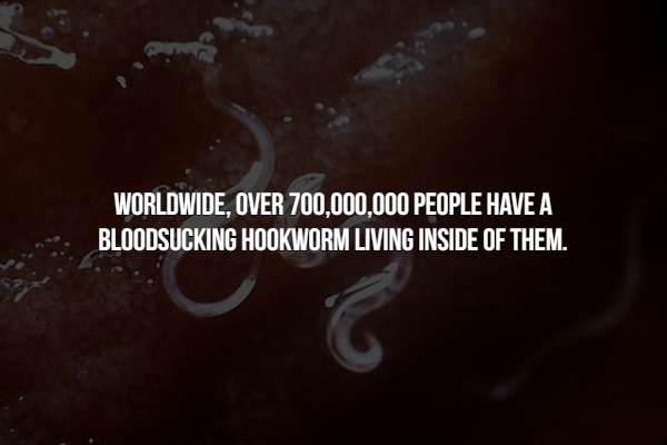 food habit of hookworm - Worldwide, Over 700,000,000 People Have A Bloodsucking Hookworm Living Inside Of Them.