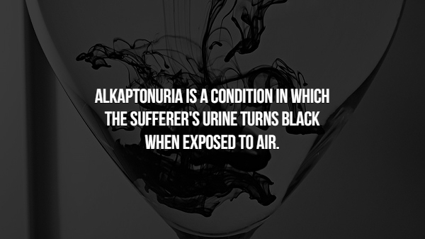 monochrome photography - Alkaptonuria Is A Condition In Which The Sufferer'S Urine Turns Black When Exposed To Air.