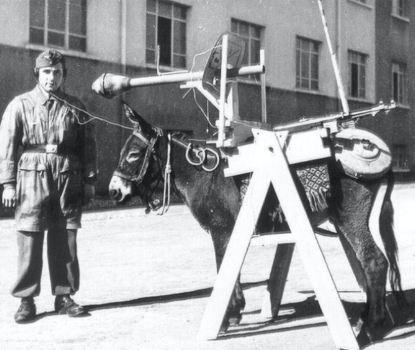 german donkey ww2