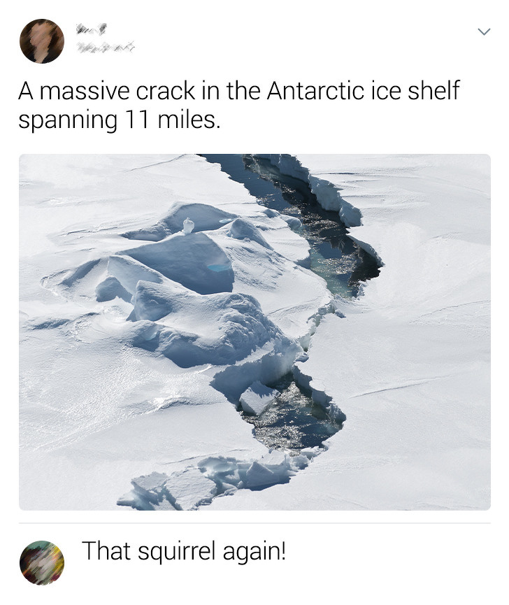 crack in ice - A massive crack in the Antarctic ice shelf spanning 11 miles. That squirrel again!