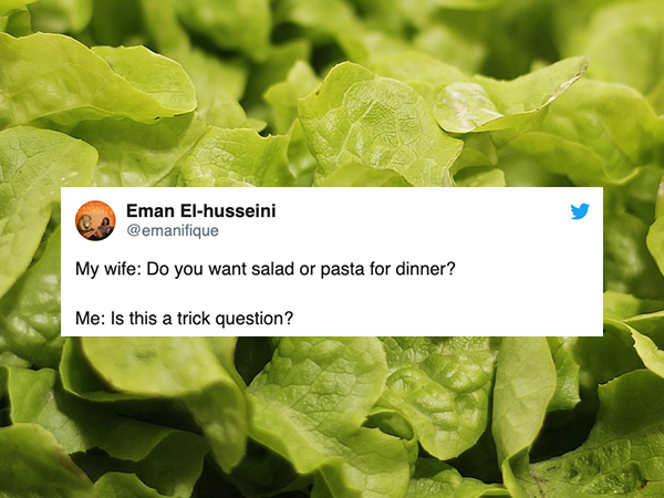 marriage meme - romaine lettuce - Eman Elhusseini My wife Do you want salad or pasta for dinner? Me Is this a trick question?
