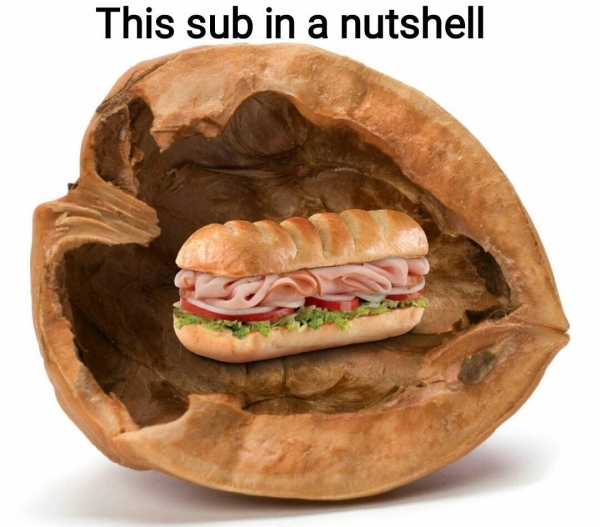 sub in a nutshell - This sub in a nutshell