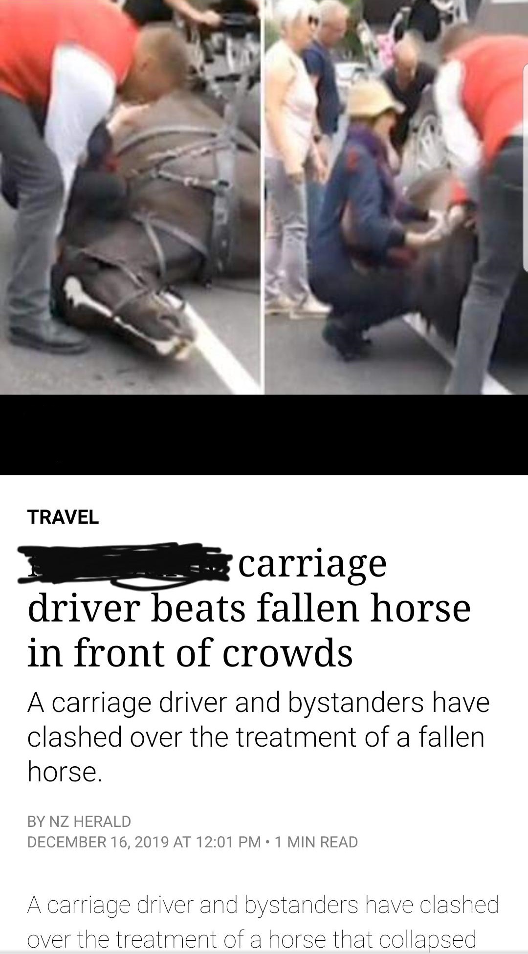 d3media - Travel carriage driver beats fallen horse in front of crowds A carriage driver and bystanders have clashed over the treatment of a fallen horse. By Nz Herald At 1 Min Read A carriage driver and bystanders have clashed over the treatment of a hor