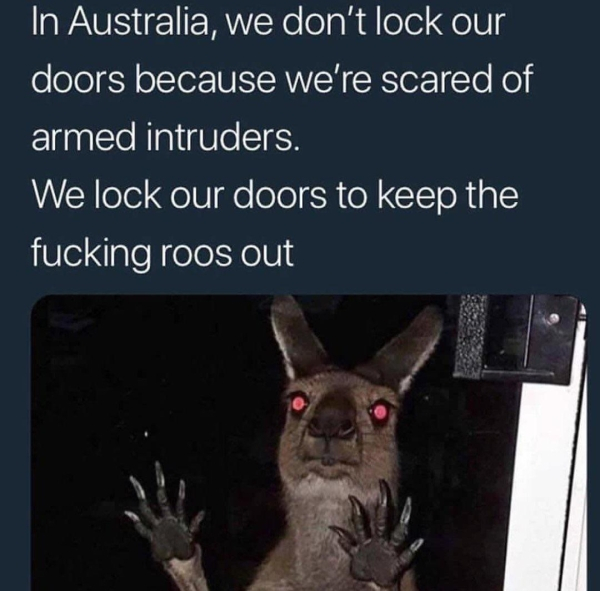 australia we don t lock our doors - In Australia, we don't lock our doors because we're scared of armed intruders. We lock our doors to keep the fucking roos out