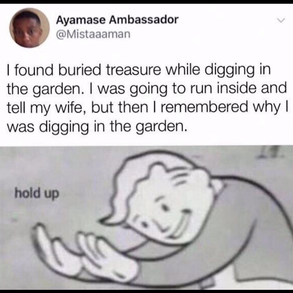 hold up fallout meme - Ayamase Ambassador I found buried treasure while digging in the garden. I was going to run inside and tell my wife, but then I remembered why | was digging in the garden. hold up