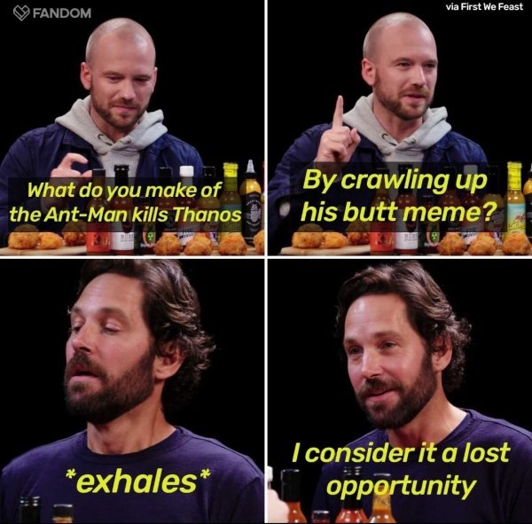 paul rudd meme - Fandom via First We Feast ByC What do you make of the AntMan kills Thanos his butt meme? exhales 'I consider it a lost opportunity