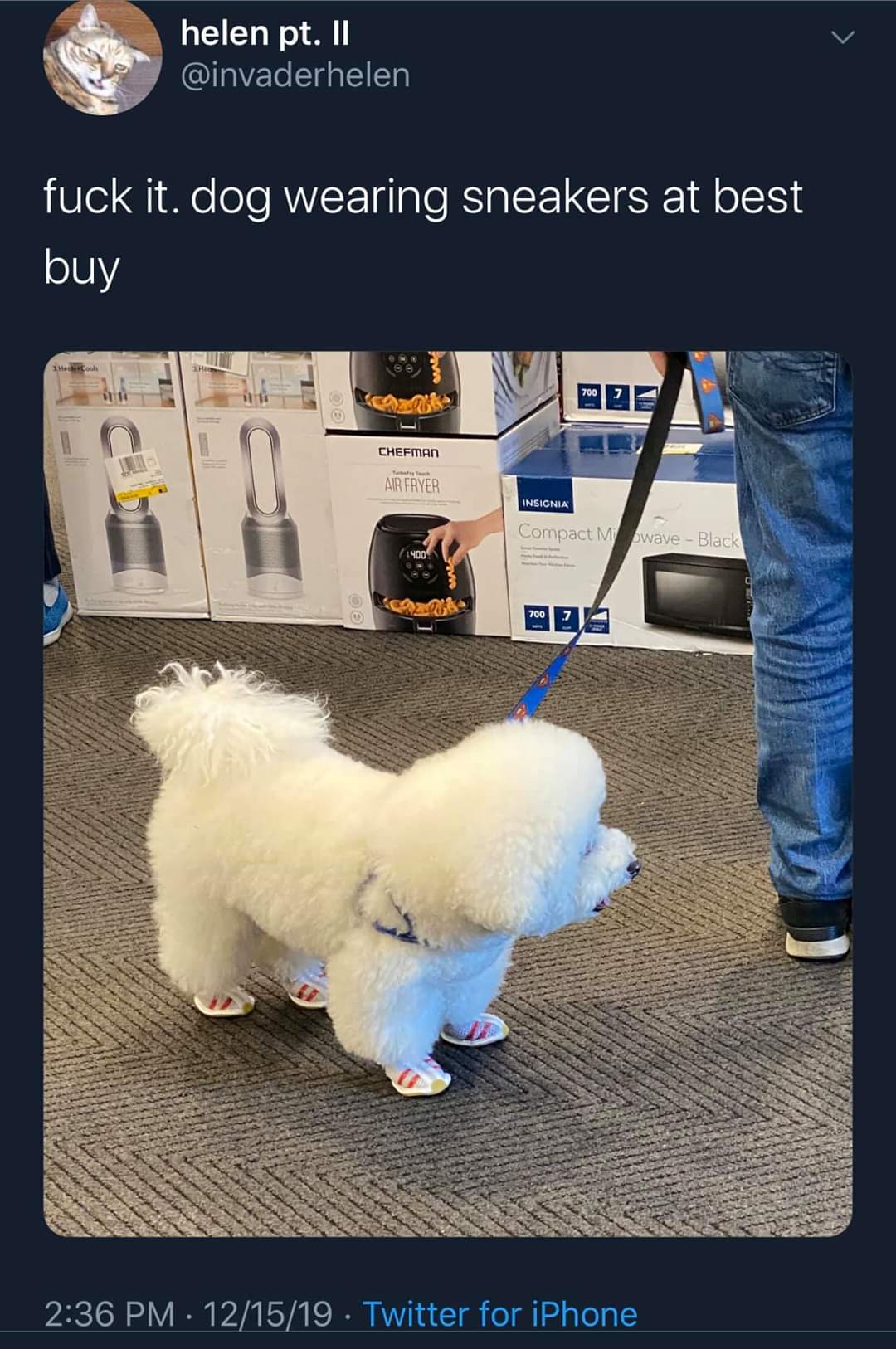 white twitter - fuck it. dog wearing sneakers at best buy 700 Chefman Air Fryer Insignia Compact M pwave Black 121519. Twitter for iPhone