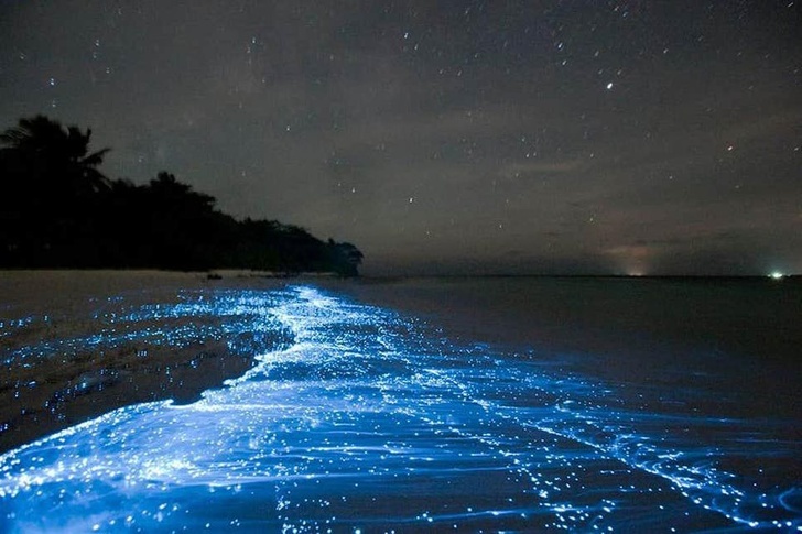 sea of stars maldives - Pc