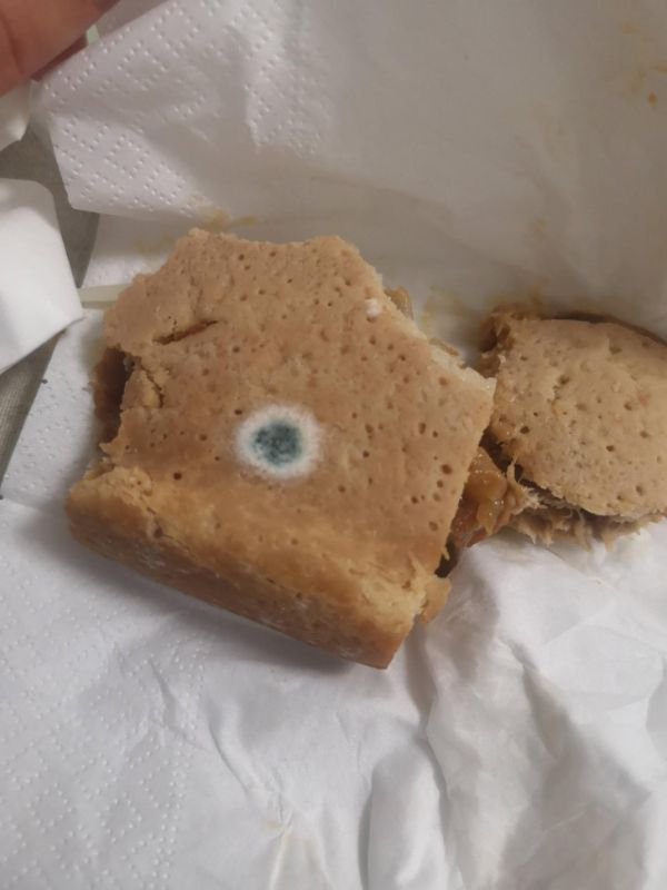 graham cracker