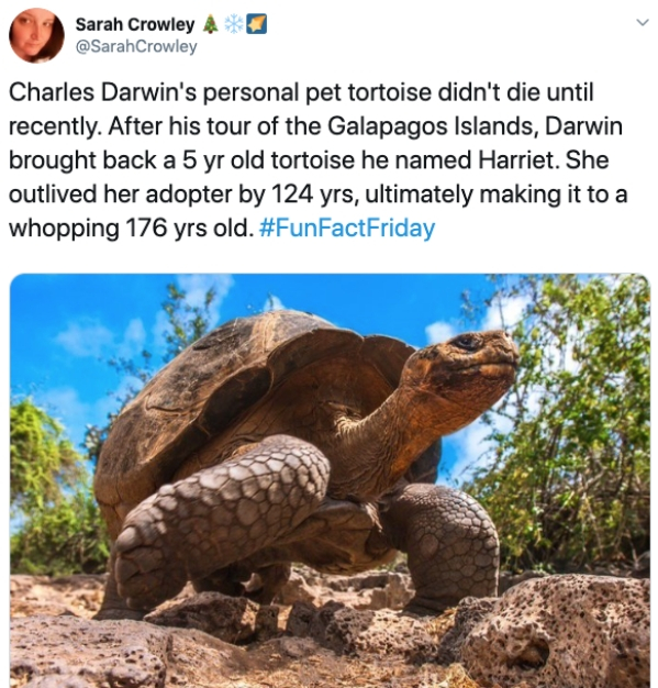 tortoise on the galapagos - Sarah Crowley 4 Charles Darwin's personal pet tortoise didn't die until recently. After his tour of the Galapagos Islands, Darwin brought back a 5 yr old tortoise he named Harriet. She outlived her adopter by 124 yrs, ultimatel