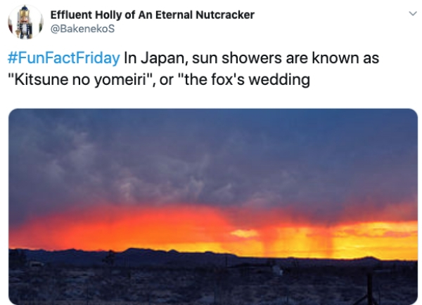 heat - Effluent Holly of An Eternal Nutcracker In Japan, sun showers are known as "Kitsune no Yomeiri", or "the fox's wedding