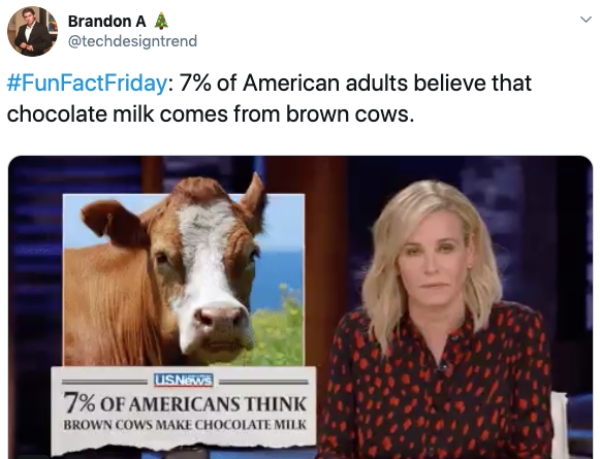 photo caption - Brandon A 4 7% of American adults believe that chocolate milk comes from brown cows. USNews 7% Of Americans Think Brown Cows Make Chocolate Milk