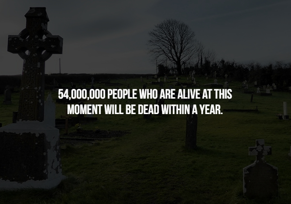 15 Creepy Facts You May Not Have Known.