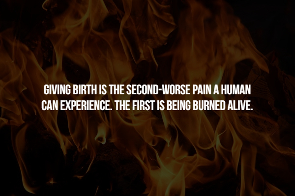 15 Creepy Facts You May Not Have Known.