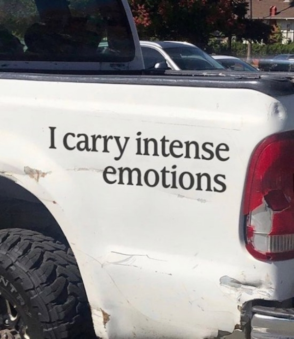 INTJ - I carry intense emotions