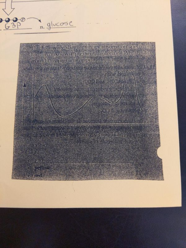 paper - O G3P n glucose 6. The ing diagram is an absorption Spectrum cor an unknown pigment molecule Whatrooler won a this pigment appel Wavelength ofhler Sette green yellow as wolet oratig c green d vellow