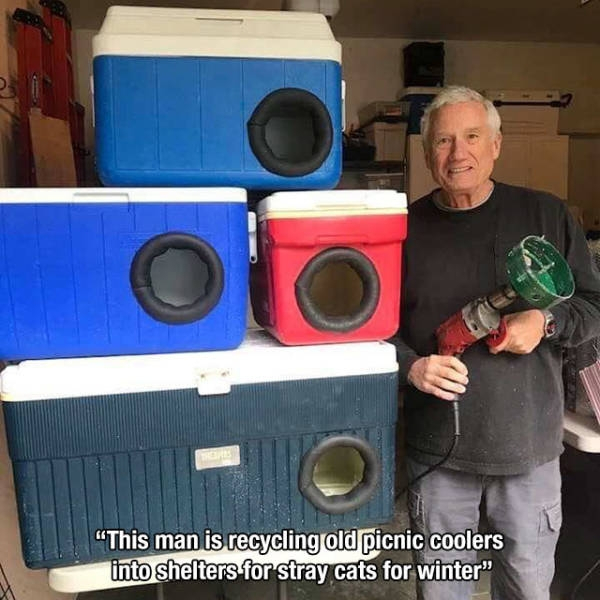 cooler cat shelter - "This man is recycling old picnic coolers into shelters for stray cats for winter"