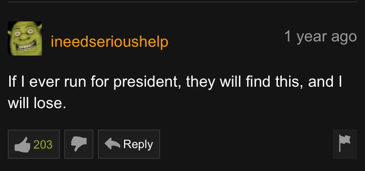 pornhub - screenshot - ineedserioushelp 1 year ago If I ever run for president, they will find this, and I will lose. 203