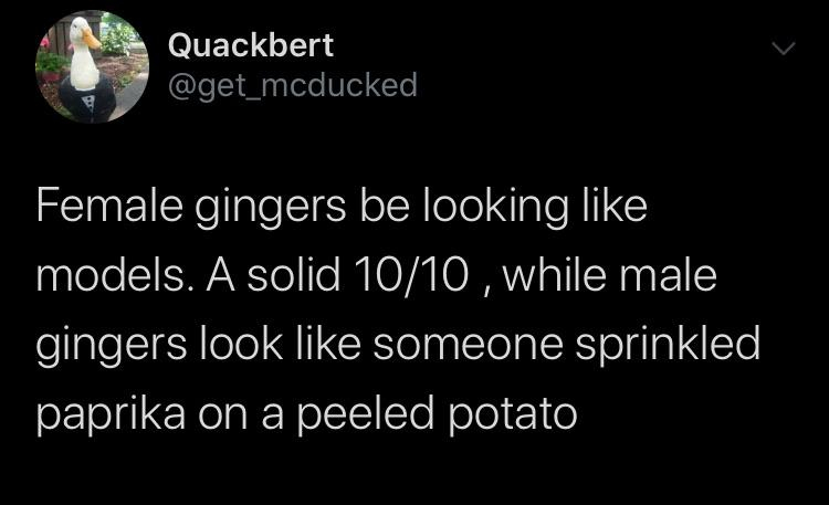 men are stonger chainmail bikini meme - Quackbert Female gingers be looking models. A solid 1010, while male gingers look someone sprinkled paprika on a peeled potato