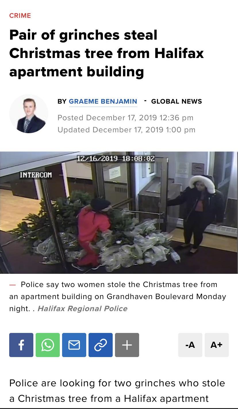 media - Crime Pair of grinches steal Christmas tree from Halifax apartment building By Graeme Benjamin Global News Posted Updated 12162019 02 Intercom Police say two women stole the Christmas tree from an apartment building on Grandhaven Boulevard Monday 