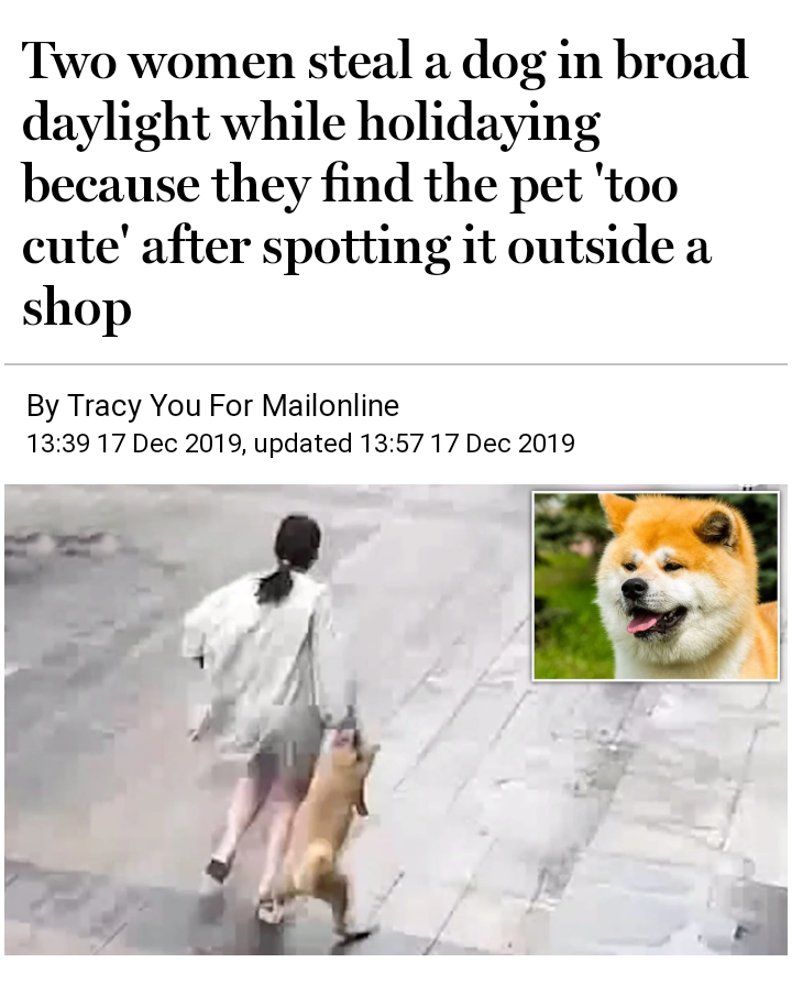 photo caption - Two women steal a dog in broad daylight while holidaying because they find the pet 'too cute' after spotting it outside a shop By Tracy You For Mailonline , updated