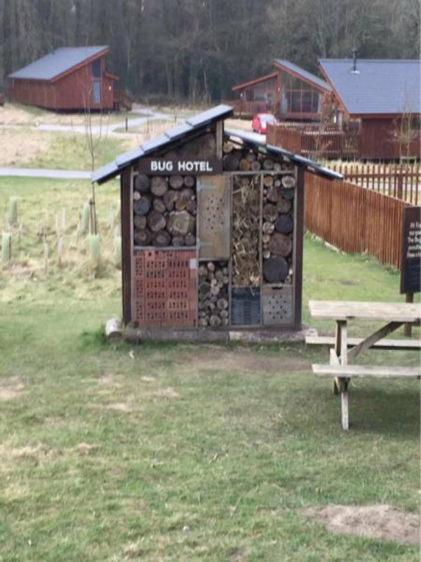 shed - Bug Hotel Si Hill