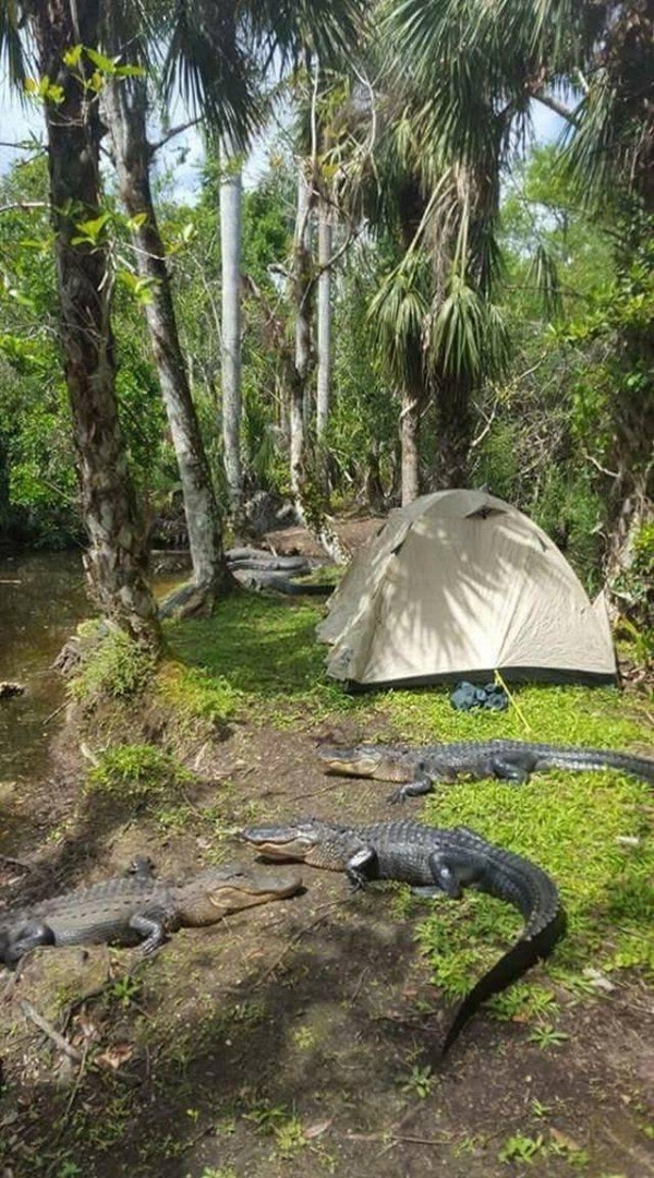 funny camping memes