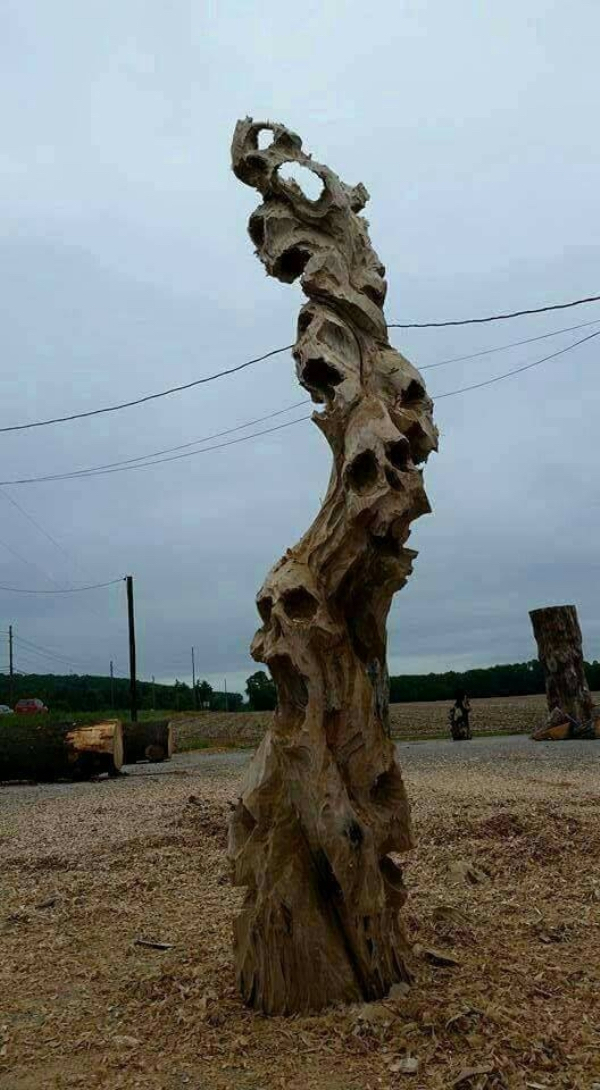 driftwood skull