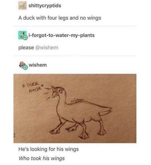 duck with 4 legs and no wings - shittycryptids A duck with four legs and no wings Hiforgottowatermyplants please wishem Noise He's looking for his wings Who took his wings