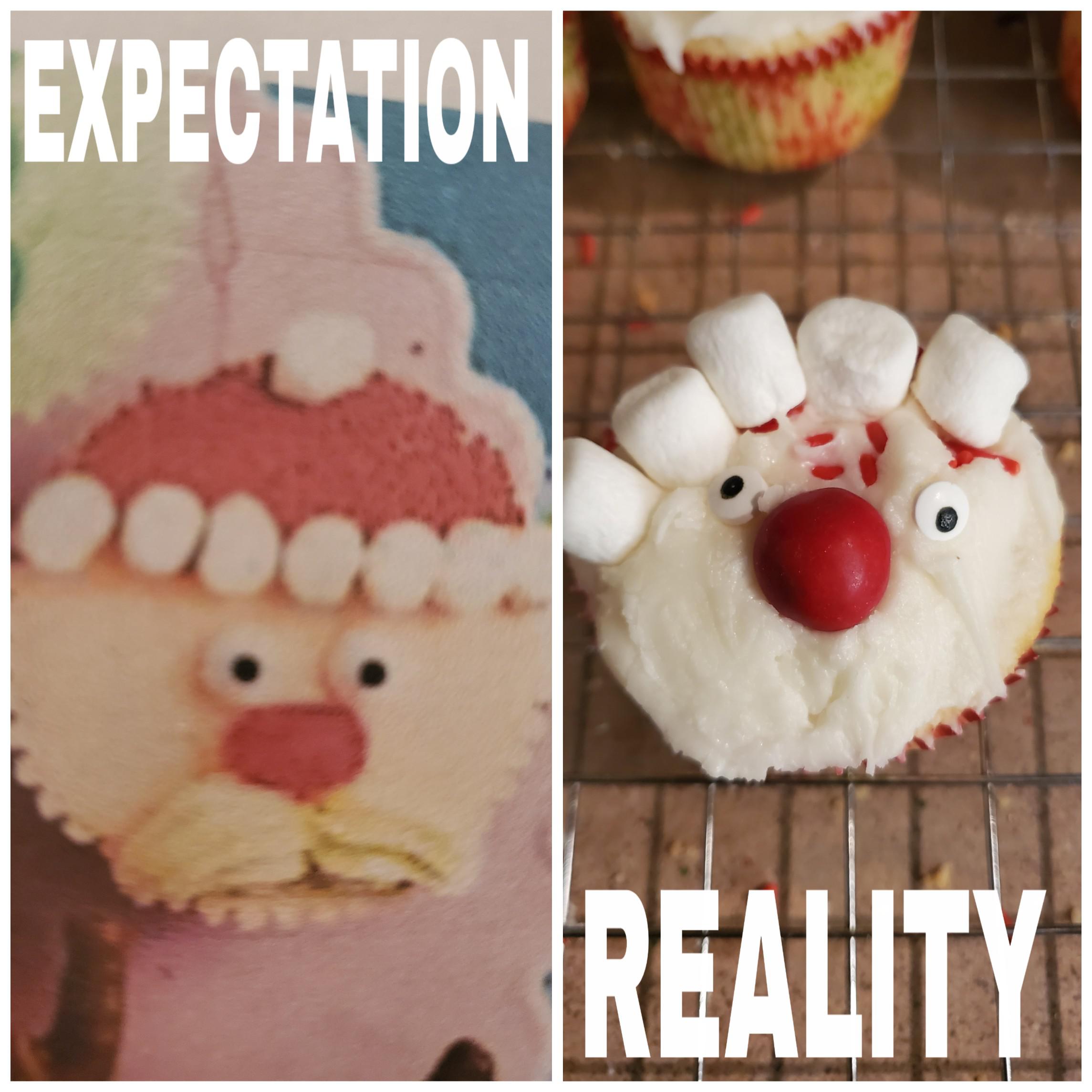cupcake - Expectation Reality