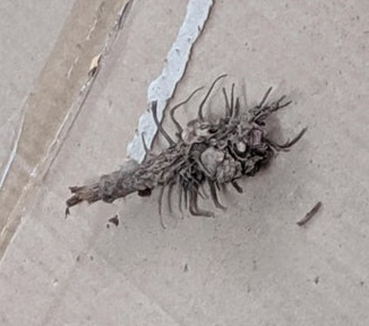 21 Optical Illusions That Freaked People Out.