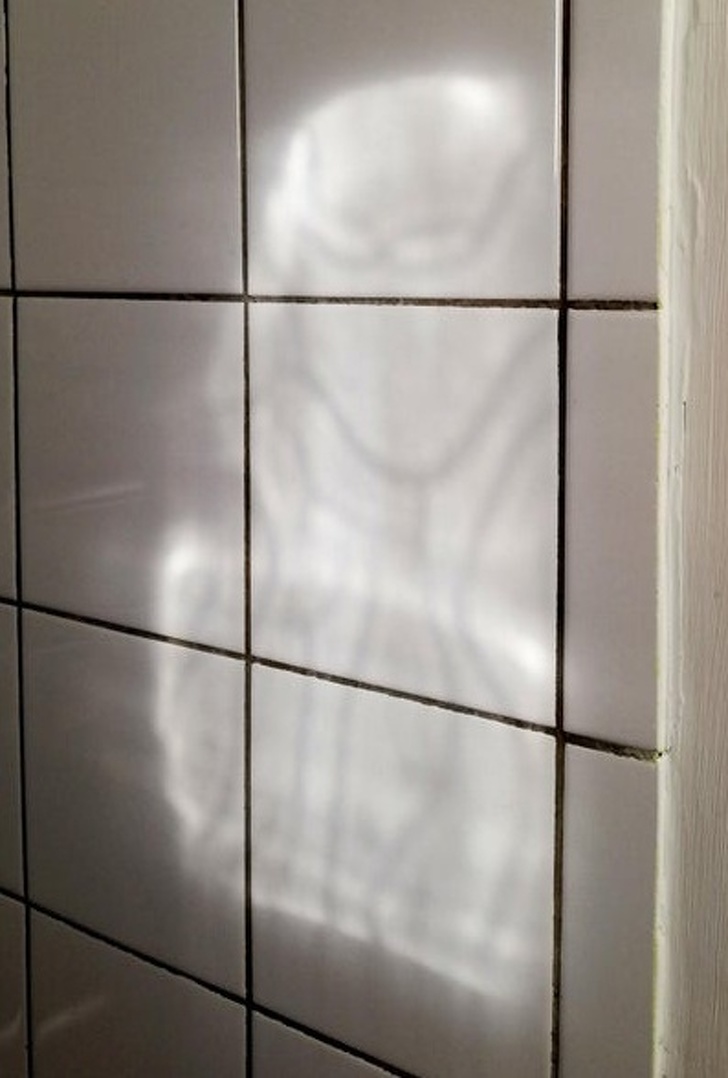 21 Optical Illusions That Freaked People Out.