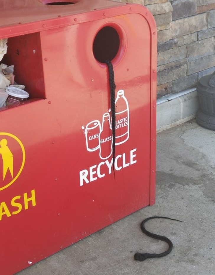 21 Optical Illusions That Freaked People Out.